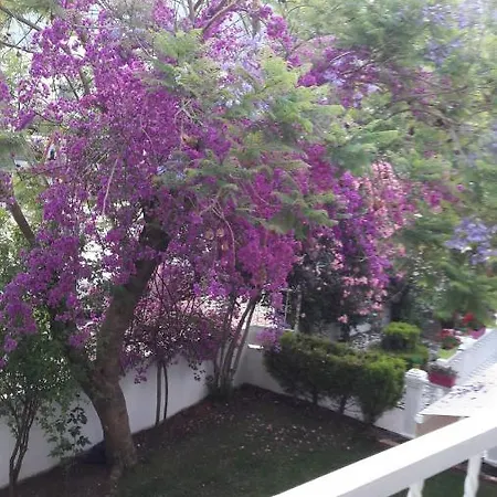 Appartement Icmelerin Kalbinde Denize 200 Metre Evinizin Rahatligin Da. Marmaris